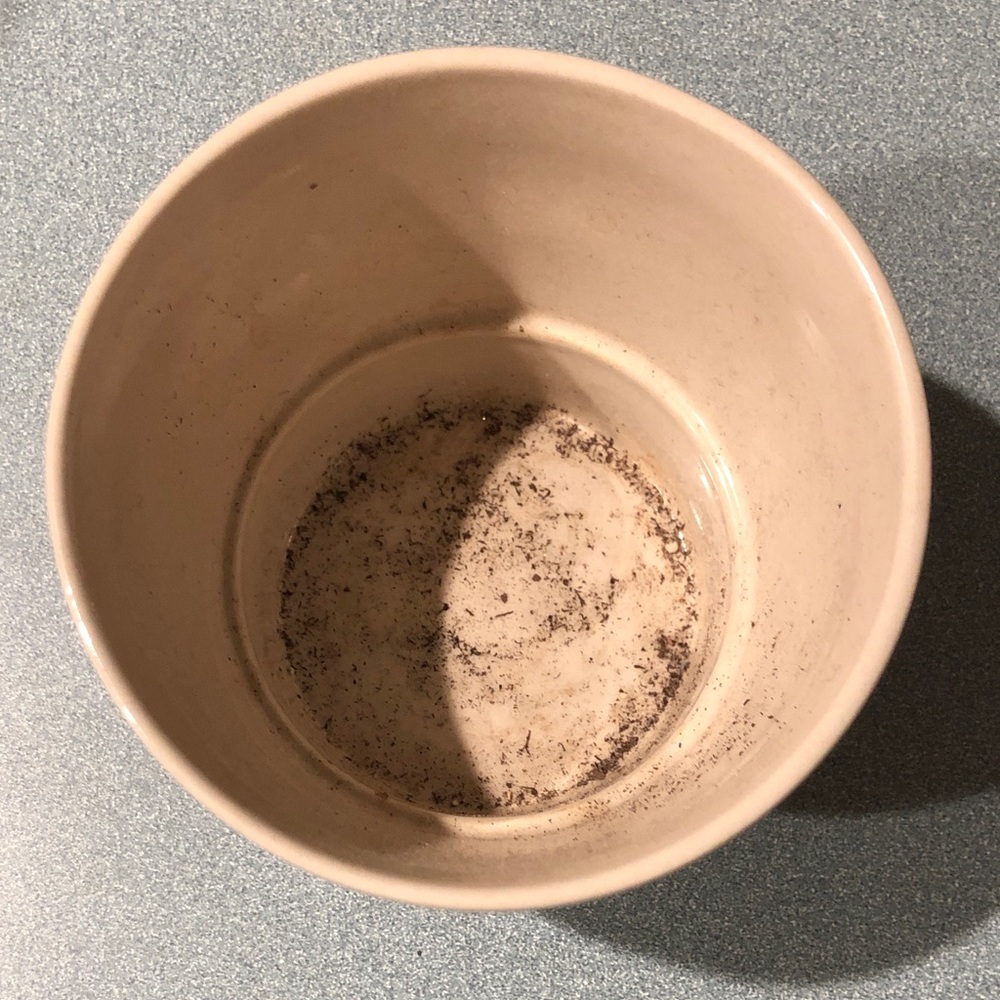 Simple Cream Ceramic Plant Pot - Picture 3 of 7